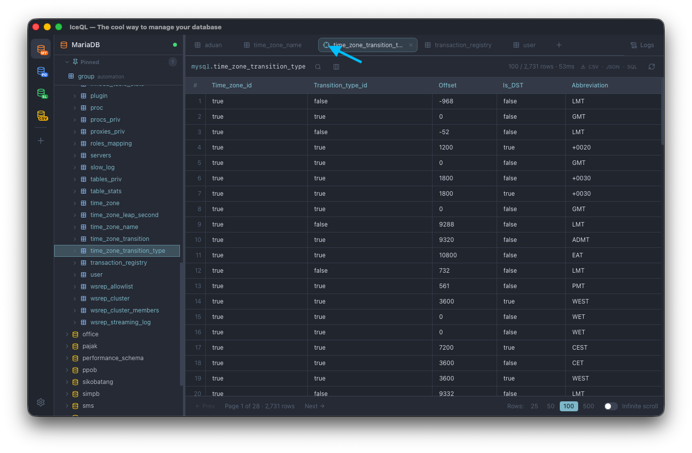 IceQL — Pinned & Located Table